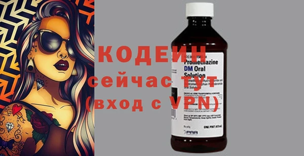 гидра Арсеньев