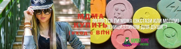 твердый Аркадак