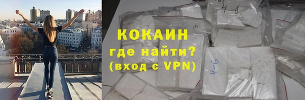 гидра Арсеньев