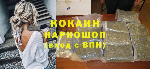 гидра Арсеньев