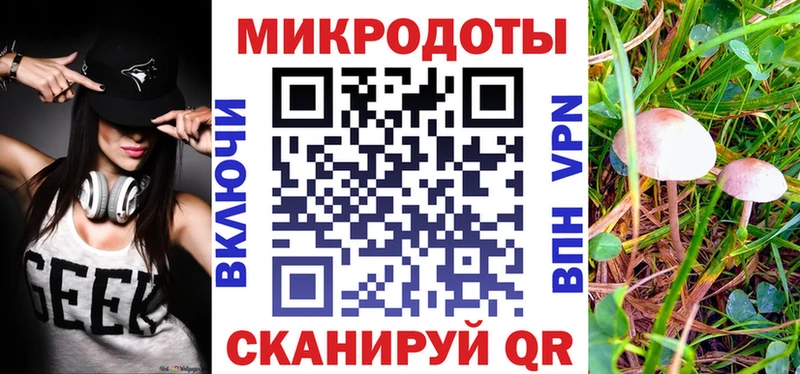 закладки Любань Галлюциногенные грибы Psilocybe